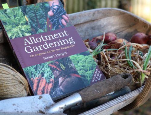 Not just for allotmenteers – the ideal grow your own manual