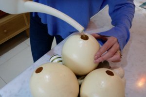 Pouring water into the ostrich egg
