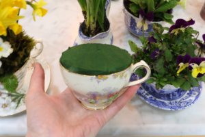 tea cut with floral foam