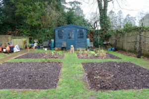 Veg patch