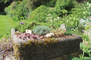 Troughs For Alpines How To Cover A Belfast Sink The Tea