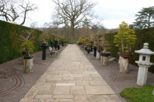 RHS Wisley's Bonsai Walk