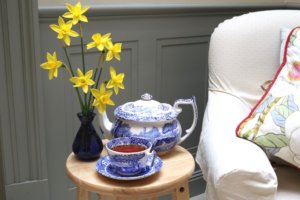 Narcissus jenny out in a vase