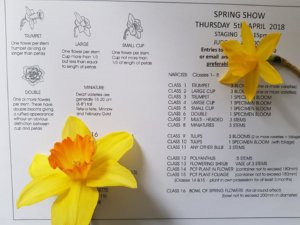 Studying my local horticultural society's Spring Show classes