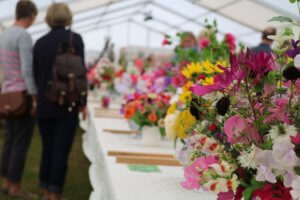 Horticultural society summer show