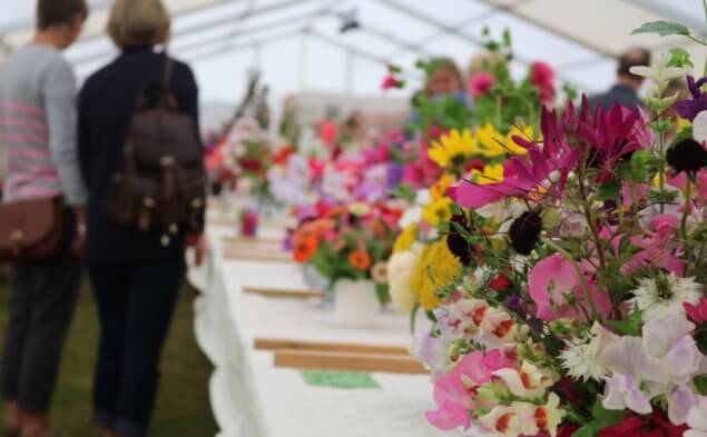 Horticultural society summer show