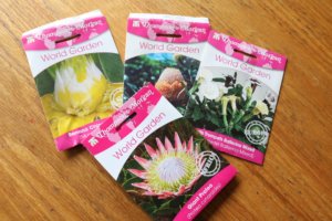 Exotic plant seeds