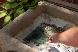 Mesh covering drainage hole in alpine trough