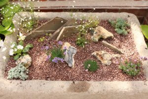 Alpine trough