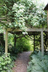 Rose arch