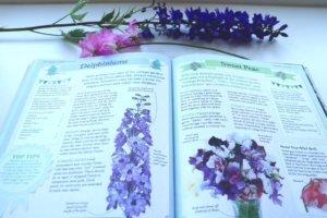 RHS Great British Village Show book