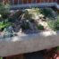Alpine trough