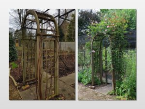 Rose arch in winter and early summer