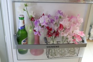Show sweet peas in fridge