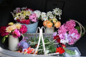 transporting flower show entries in car