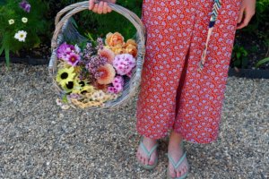 Garden cut flowers in a basket