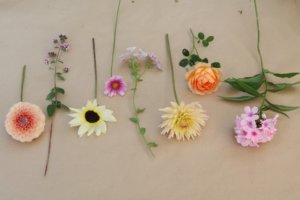 flowers for arranging