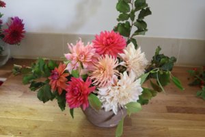 Dahlia bowl