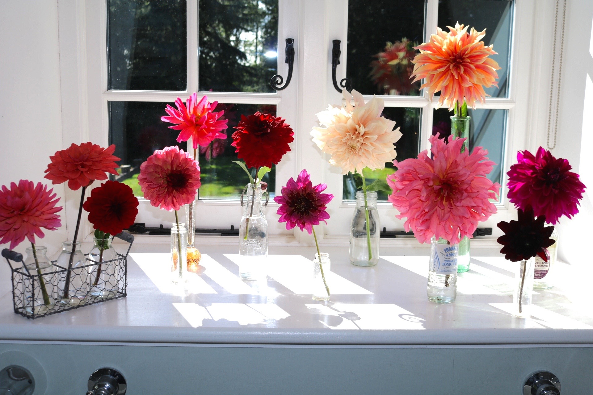 Decorating With Dahlias Simple Ideas To Try At Home The Tea Break Gardener,United Airlines Baggage Fee International
