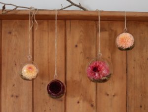 Hanging dahlia globes with a pine settle