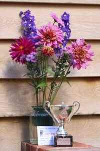 Mixed garden flowers horticutural show entry
