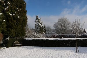 snowy garden scene