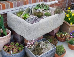 Alpine troughs