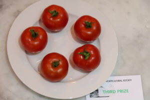 how to show fruit and vegetables Tomato outdoor girl