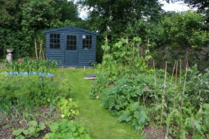 Vegetable patch