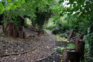 Woodland garden Woodland garden