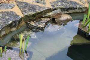 escape ramp for pond