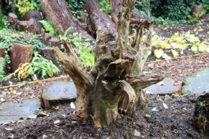 Garden stumpery