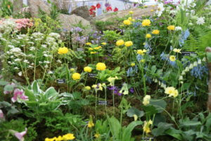 Spring plant display 
