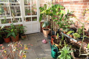 greenhouse in winter Greenhouse in winter