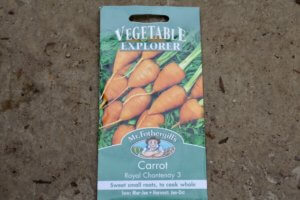 Quick growing vegetables - baby carrots Quick growing vegetables - baby carrots
