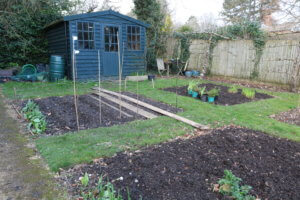 vegetable gardening vegetable gardening