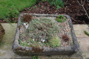 Alpine trough Alpine trough