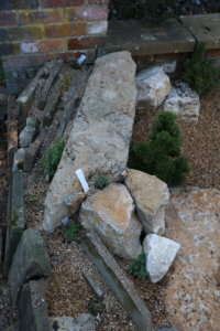 Crevice garden