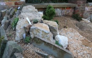 Crevice garden