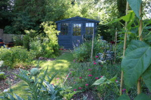 You don't need a large veg patch to grow quick growing vegetables