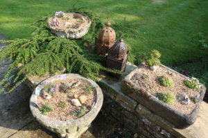 Alpine troughs Alpine troughs