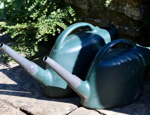 How to water a garden without a hosepipe