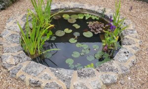 Circular pond Circular pond