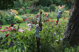 Dahlias in Chenies Manor Garden