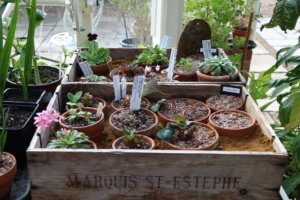 Alpine sand box