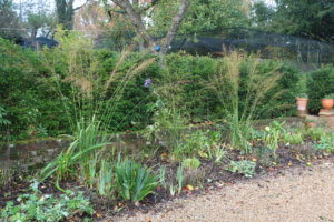 Herbaceous border in autumn Herbaceous border in autumn