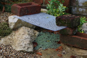 Protecting alpines in winter Alpine plant shelter