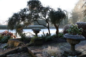 Rock garden in frost Rock garden in frost