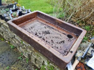 Enamelled sink to use as an alpine trough