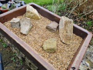 Alpine trough for saxifrages Alpine trough for saxifrages